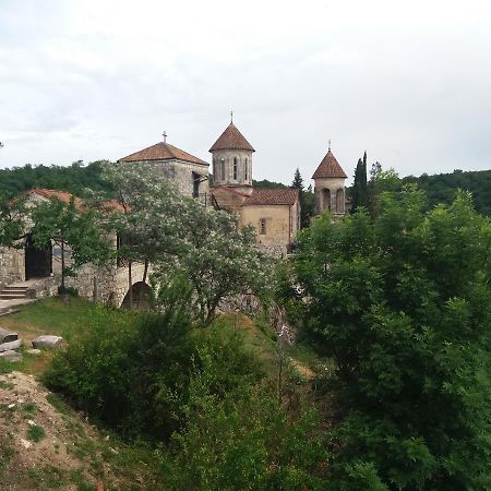 Guest House Darejani Кутаїсі Екстер'єр фото