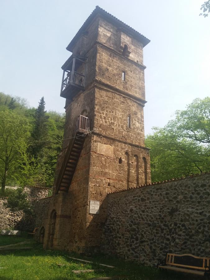 Guest House Darejani Кутаїсі Екстер'єр фото