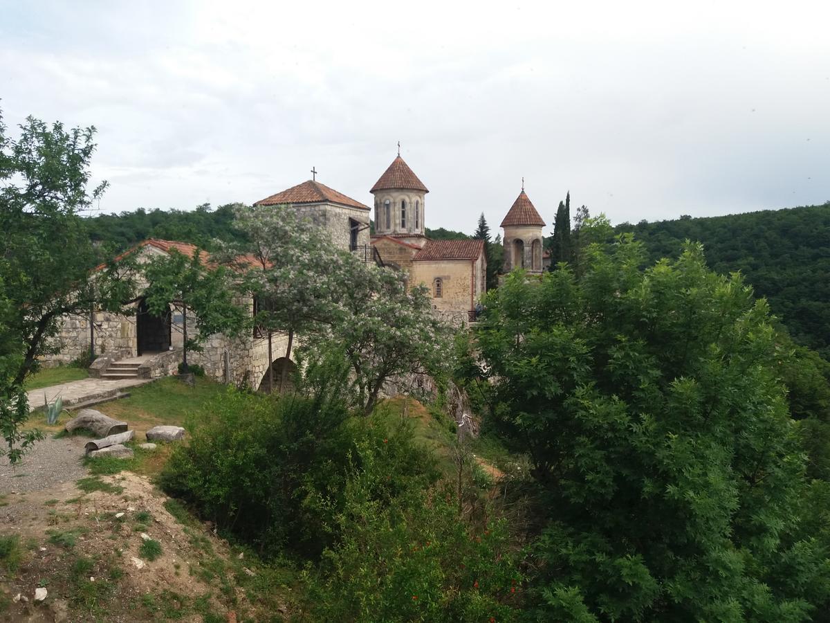 Guest House Darejani Кутаїсі Екстер'єр фото